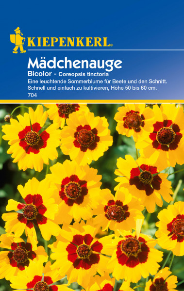 Produktbild von Kiepenkerl Maedchenauge Bicolor mit leuchtend gelb-roten Blumen und Informationen zu Wuchshoehe und Kultivierung.