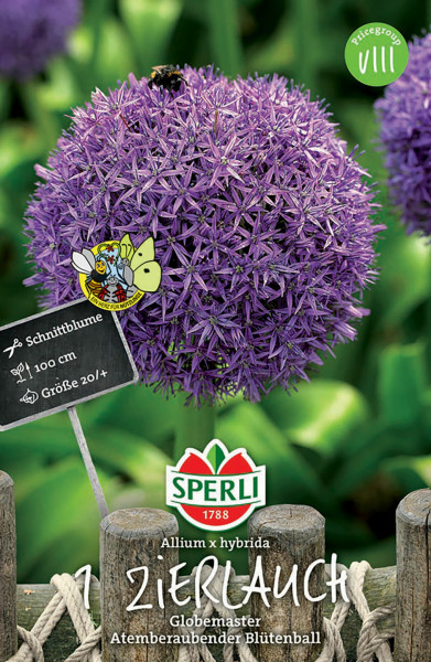 Produktbild von Sperli Zierlauch Globemaster mit Abbildung eines violetten Blütenballs einer Schnittblume vor grünem Hintergrund und Produktinformationen auf Deutsch.