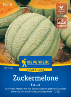 Kiepenkerl Zuckermelone Stellio F1 Kiepenkerl Zuckermelone Stellio F1