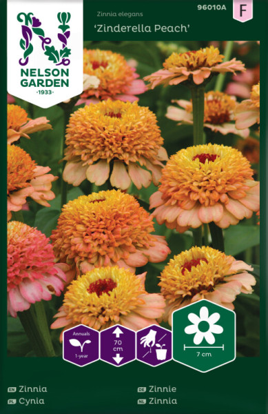 Produktbild von Nelson Garden Zinnie Zinderella Peach mit Darstellung der Blumen und Informationen zu Pflanzenart, -höhe und Blütengröße.