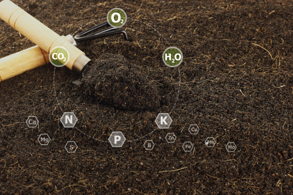 2400-close-up-fertile-loamy-soil-for-planting-with-16-digital-nutrients-icon-which-necessary-in-plant-life-plant-nutrients-macronutrients-micronutrients-agriculture-concept-1