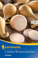 Kiepenkerl Winterschalotte Griselle