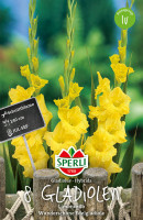 Sperli Gladiole Limoncello