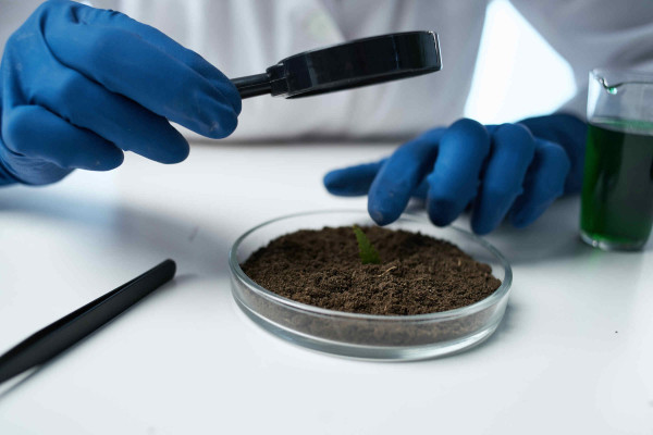 large-soil-research-laboratory-biology-analysis