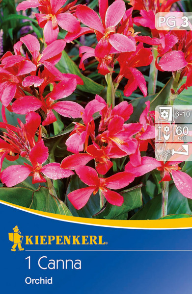 Produktbild von Kiepenkerl Blumenrohr Orchid mit Darstellung der rot blühenden Pflanze und Verpackungsdesign samt Markenlogo und Pflegehinweisen.