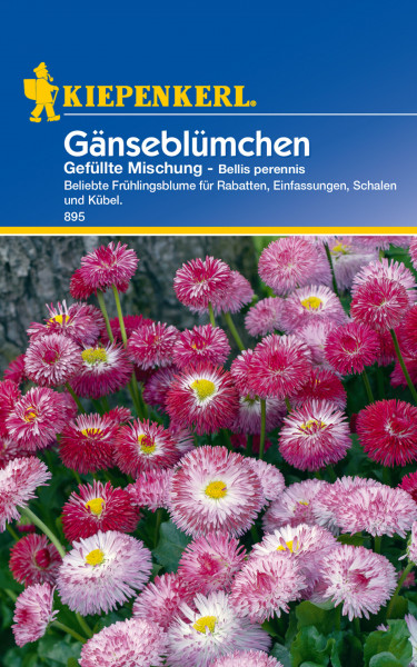 Produktbild von Kiepenkerl Gaensebluemchen Gefuellte Mischung mit blühenden Pflanzen und Verpackungsdesign mit Markenlogo Informationen zu Pflanzenart und Einsatzgebieten auf Deutsch.