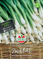 Sperli Zwiebel Freddy (Winterheckenzwiebel)