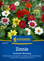 Kiepenkerl Zinnie Profusion Mischung
