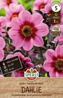 Sperli Dahlie Hs Wink