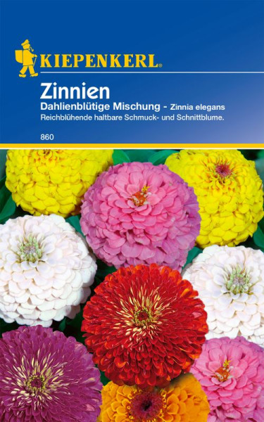 Produktbild von Kiepenkerl Zinnie Dahlienblütige Mischung mit verschiedenen farbenfrohen Blüten und Produktinformationen in deutscher Sprache.