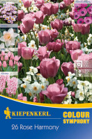 Kiepenkerl Colour Symphony Rose Harmony