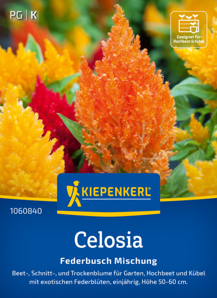 Kiepenkerl Celosia Federbusch Mischung