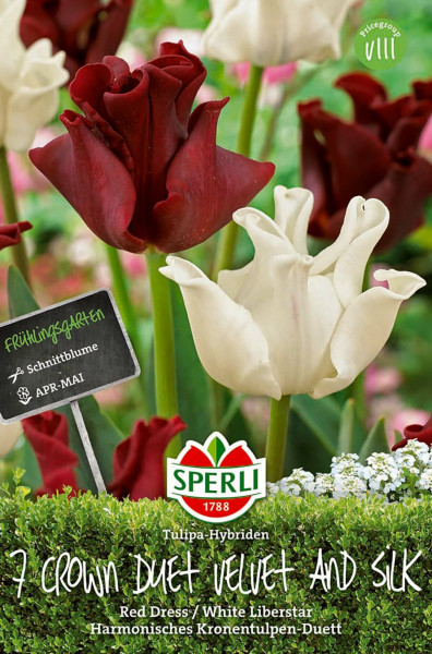 Produktbild von Sperli Frühlingsgarten Crown Duet Velvet and Silk mit roten und weißen Tulpen, Verpackungsdesign und Markenlogo.