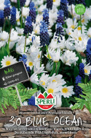 Sperli Maxi Blue Ocean Mischung