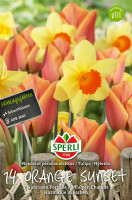 Sperli Frühlingsgarten Orange Sunset