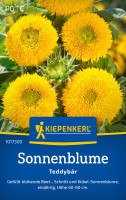 Kiepenkerl Sonnenblume Teddybär