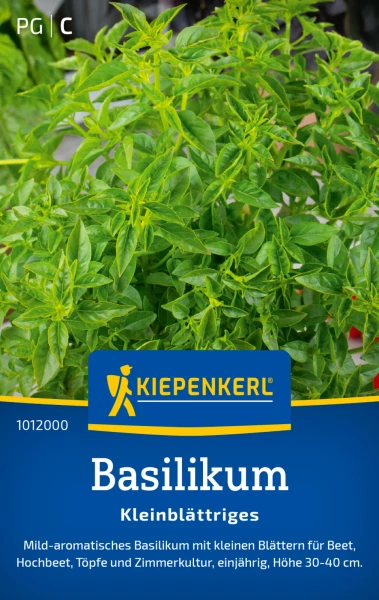 Basilikum ernten und aufbewahren | Samen.de