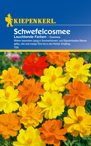 Produktbild von Kiepenkerl Schwefelcosmee Leuchtende Farben mit blühenden Blumen in warmen gelben, roten und orangen Tönen sowie Verpackungsdetails und Produktinformationen in deutscher Sprache.