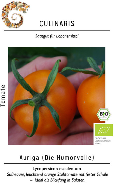 Produktbild von Culinaris BIO Stabtomate Auriga mit Visualisierung einer orangefarbenen Tomate, Informationen zu Sorte und BIO-Zertifizierung sowie dem Hinweis ideal als Blickfang in Salaten.