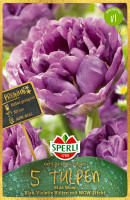 Sperli Premium Gefüllte Späte Tulpe Blue Wow