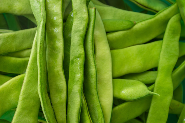 large-close-up-photo-of-green-beans