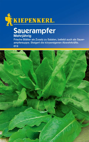 Produktbild von Kiepenkerl Sauerampfer mehrjährig mit Abbildung der Pflanze und Verpackungsinformationen zu Verwendung und gesundheitlichen Vorteilen.