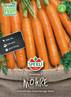 Sperli Möhre Nantaise 2
