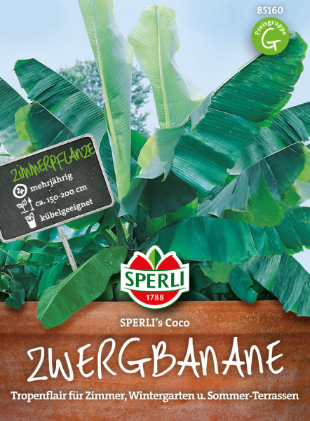 Produktbild von Sperli Zwergbanane SPERLIs Coco mit grünen Bananenpflanzen und Information zur Pflanzenart Zimmerpflanze mehrjährig ca. 150-200 cm kübelgeeignet sowie Markenlogo und Preisgruppe