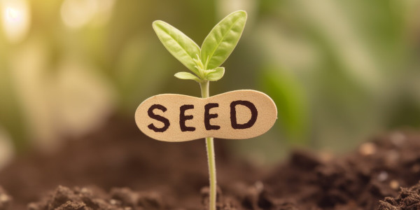 large-a-plant-with-word-seed-on-it-ai-generated