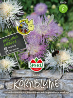 Sperli Flockenblume Aloha-Mix