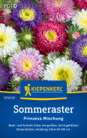 Kiepenkerl Sommeraster Prinzess Mischung