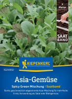Kiepenkerl Salat Asia Spicy Green Mischung Saatband