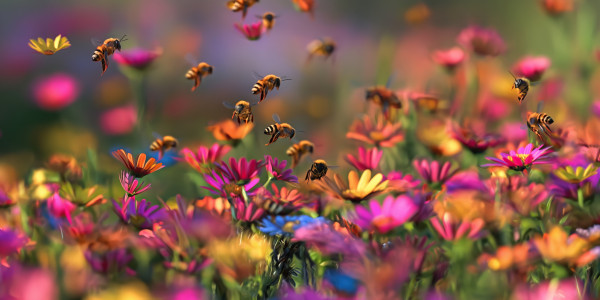 large-bees-pollinating-vibrant-wildflowers-in-a-colorful-meadow