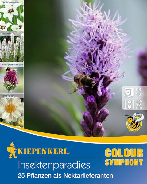 Produktbild Kiepenkerl Insektenparadies mit einer Biene auf einer lilafarbenen Blüte und Abbildungen verschiedener Pflanzenarten sowie Informationen zu Blütezeit und Wuchshöhe.