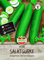 SPERLI Salatgurke Moneta