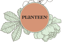 Planteen