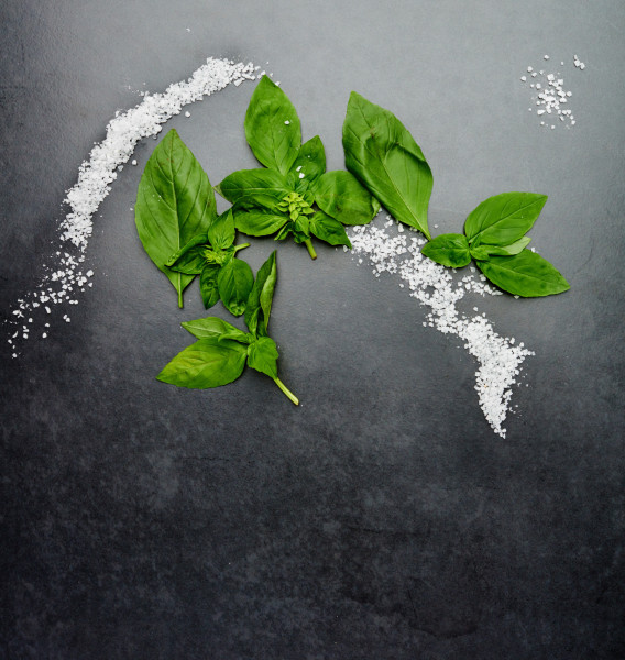 top-view-herbs-salt-isolated-black-background-health-wellness-nutrition-basil-seasoning-layout-dark-surface-kitchen-mockup-space-plant-green-leaves-studio-1