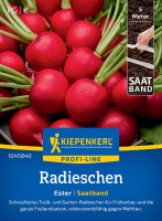 Kiepenkerl Radieschen Ester Saatband