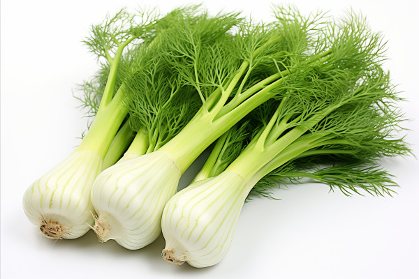2400-ai-generated-fresh-fennel-on-clean-white-background-for-eye-catching-advertisements-and-packaging-designs