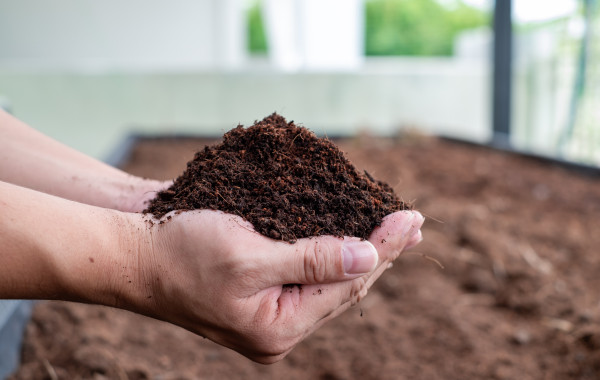 2400-hand-holding-fertile-black-soil-agriculture-organic-gardening-planting-or-ecology-concept-environmental-earth-day-banner-top-view-copy-space-farmer-checking-before-sowing-2