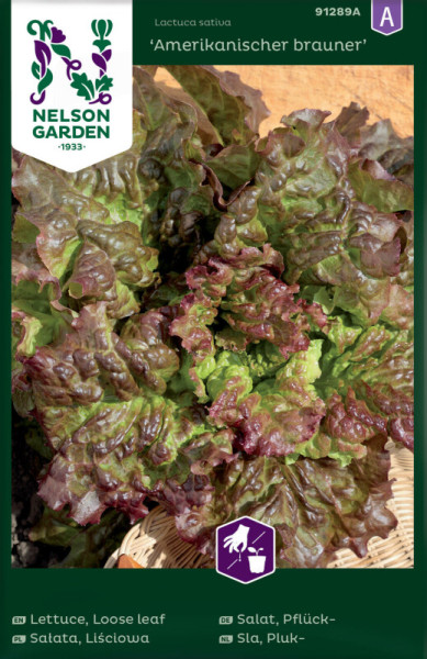 Produktbild von Nelson Garden Pflücksalat Amerikanischer brauner mit der Abbildung des Salates auf der Vorderseite und Produktinformationen in verschiedenen Sprachen.