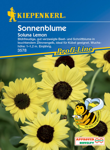 Kiepenkerl Sonnenblume Soluna Lemon