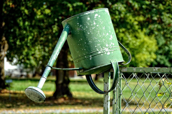 watering-can-930274_1280