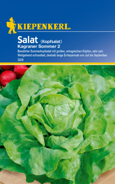 Kiepenkerl Kopfsalat Kagraner Sommer 2