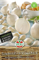 Sperli Weiße Steckzwiebel Snowball