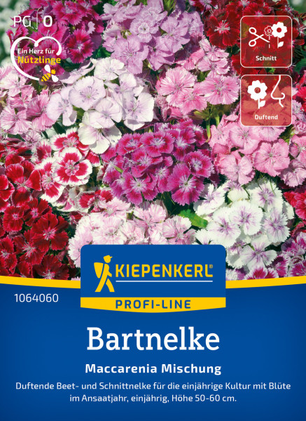 Kiepenkerl Bartnelke Maccarenia Mischung