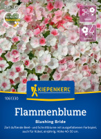 Kiepenkerl Flammenblume Blushing Bride