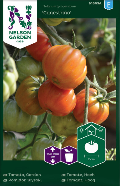 Nelson Garden Fleisch-Tomate Canestrino