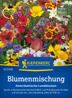 Kiepenkerl Blumenmischung Amerikanische Landblumen