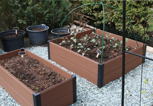 2400-wooden-prefabricated-bed-with-cabbage-seedlings-on-sunny-spring-day-in-backyard-of-house